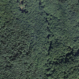 Satellite imagery of Cima alla Pianca, CH