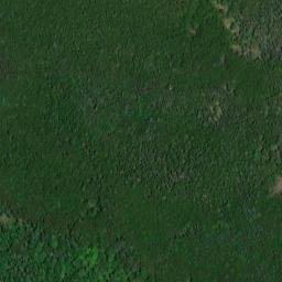 Satellite imagery of Q 294 — NGS RJ0646 — Raber Township, US, US