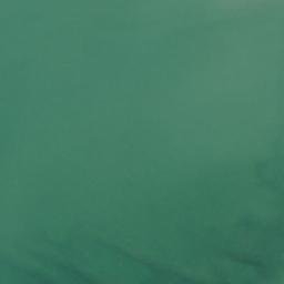 Satellite imagery of Paw Point, US