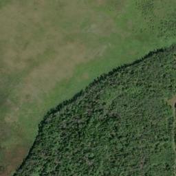 Satellite imagery of Paw Point, US