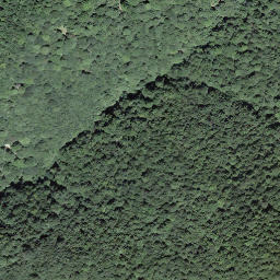 Satellite imagery of Monte Ferraro, CH