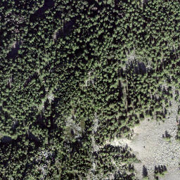 Satellite imagery of Treutse à l'Aille, CH