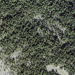 Satellite imagery of Treutse à l'Aille, CH