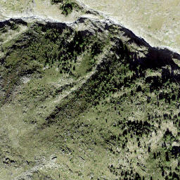 Satellite imagery of Getschung, CH