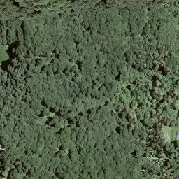 Satellite imagery of Monte Ferraro, CH