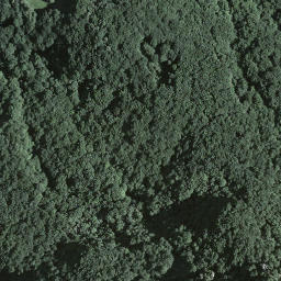 Satellite imagery of Denti della Vecchia, CH