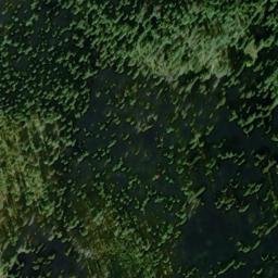 Satellite imagery of Stillman Point, US