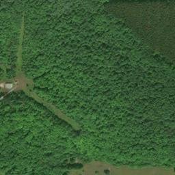 Satellite imagery of WGTQ TV MAST — NGS AH5425 — Raber Township, US, US