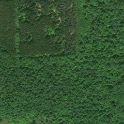 Satellite imagery of WGTQ TV MAST — NGS AH5425 — Raber Township, US, US