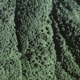 Satellite imagery of Poncione di Breno, CH