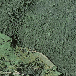 Satellite imagery of Torri, CH