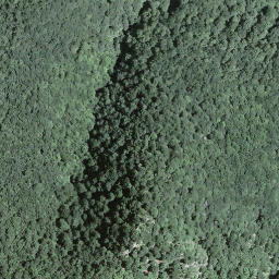 Satellite imagery of Torri, CH