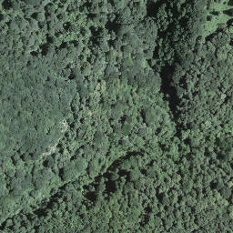 Satellite imagery of Torri, CH