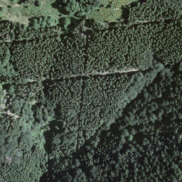 Satellite imagery of Torri, CH