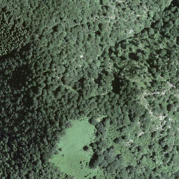 Satellite imagery of Torri, CH