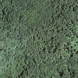 Satellite imagery of Torri, CH