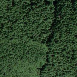Satellite imagery of Point 3670, US