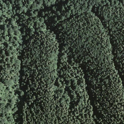 Satellite imagery of Monte Lema, CH