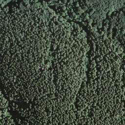 Satellite imagery of Monte Lema, CH