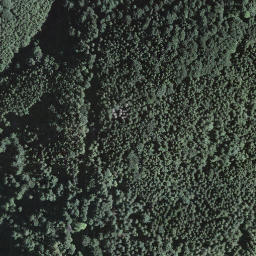 Satellite imagery of Torri, CH
