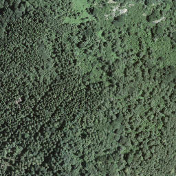 Satellite imagery of Torri, CH