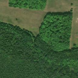 Satellite imagery of L 294 — NGS RJ0651 — Raber Township, US, US