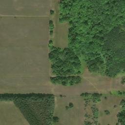 Satellite imagery of L 294 — NGS RJ0651 — Raber Township, US, US