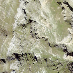 Satellite imagery of Wisshorn, CH