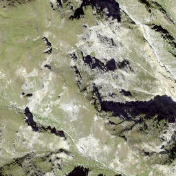 Satellite imagery of Wisshorn, CH