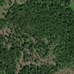 Satellite imagery of Frye Point, US