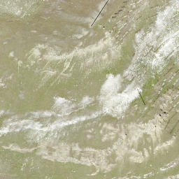 Satellite imagery of Wisshorn, CH