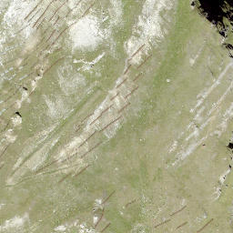 Satellite imagery of Wisshorn, CH
