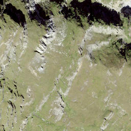 Satellite imagery of Wisshorn, CH