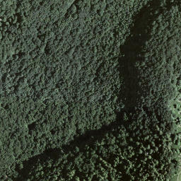 Satellite imagery of Monte Boglia, CH