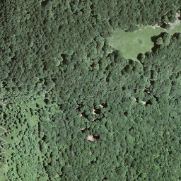 Satellite imagery of Monte Boglia, CH