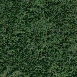Satellite imagery of Pontchartrain Point, US