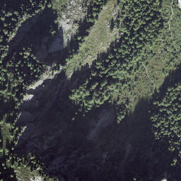 Satellite imagery of Tronc du Berger, CH
