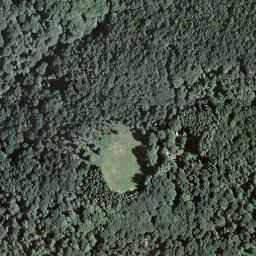 Satellite imagery of Forcola, CH