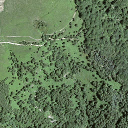 Satellite imagery of Forcola, CH