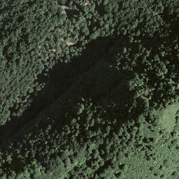 Satellite imagery of Monte Boglia, CH