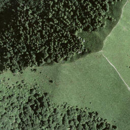 Satellite imagery of Monte Boglia, CH