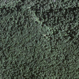 Satellite imagery of Monte Rogoria, CH