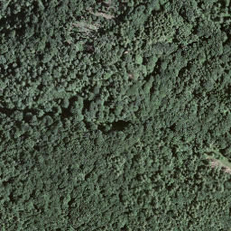 Satellite imagery of Forcola, CH