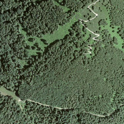 Satellite imagery of Forcola, CH