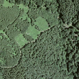 Satellite imagery of Forcola, CH