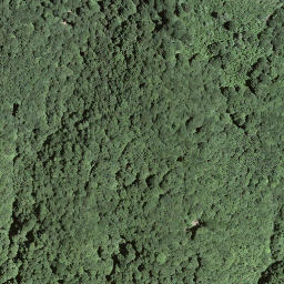 Satellite imagery of Monte Boglia, CH