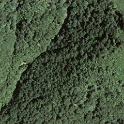 Satellite imagery of Monte Boglia, CH