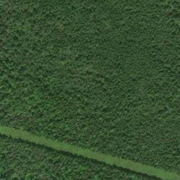 Satellite imagery of J 294 — NGS RJ0653 — Detour Township, US, US