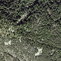 Satellite imagery of Grands Plans, CH