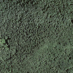 Satellite imagery of Monte Rogoria, CH